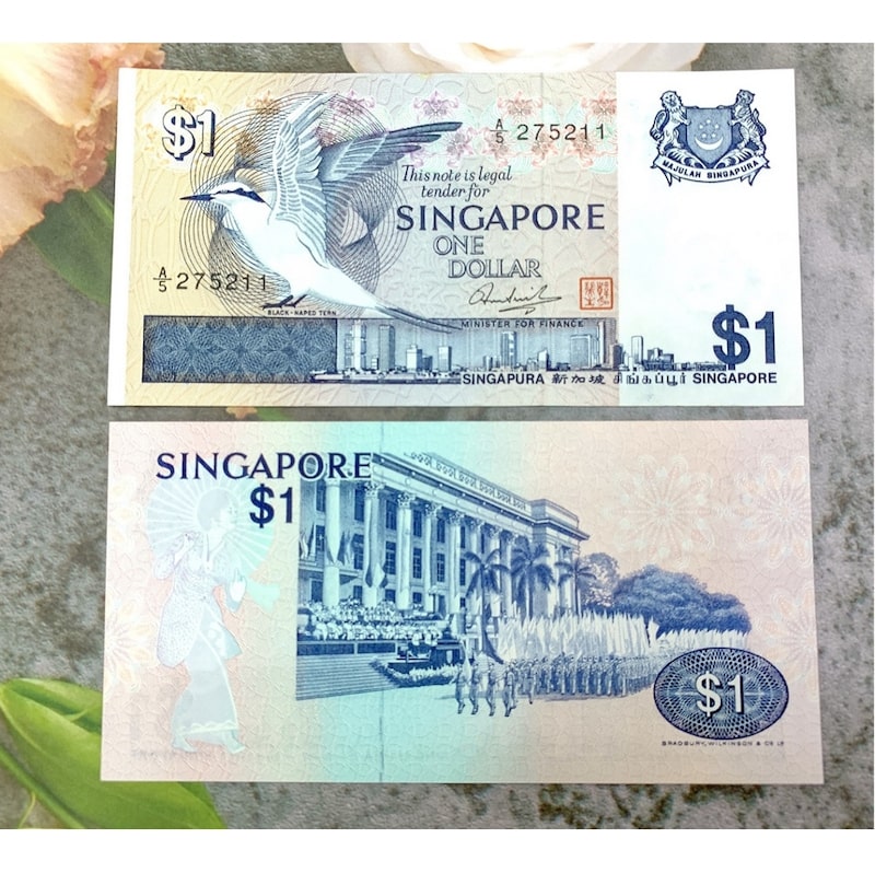 1-do-singapore-bang-bao-nhieu-tien-viet-3